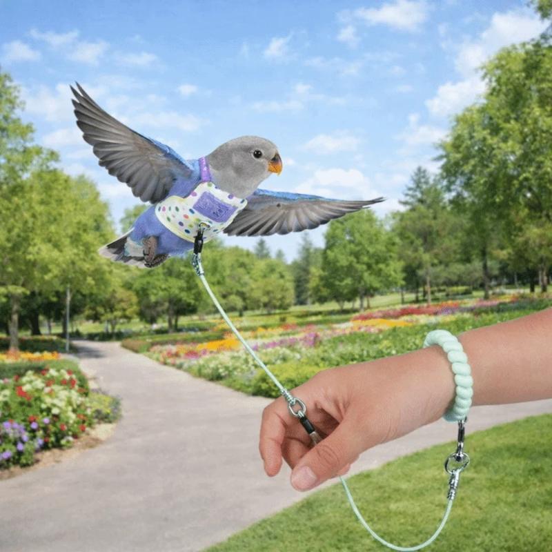Escape Proof Parrot Harness Le - Outdoor Adventure Training ulasan dan harga