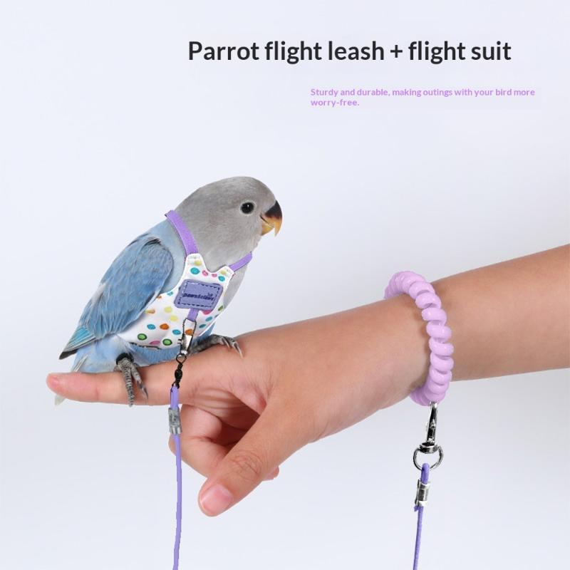 Escape Proof Parrot Harness Le - Outdoor Adventure Training ulasan dan harga
