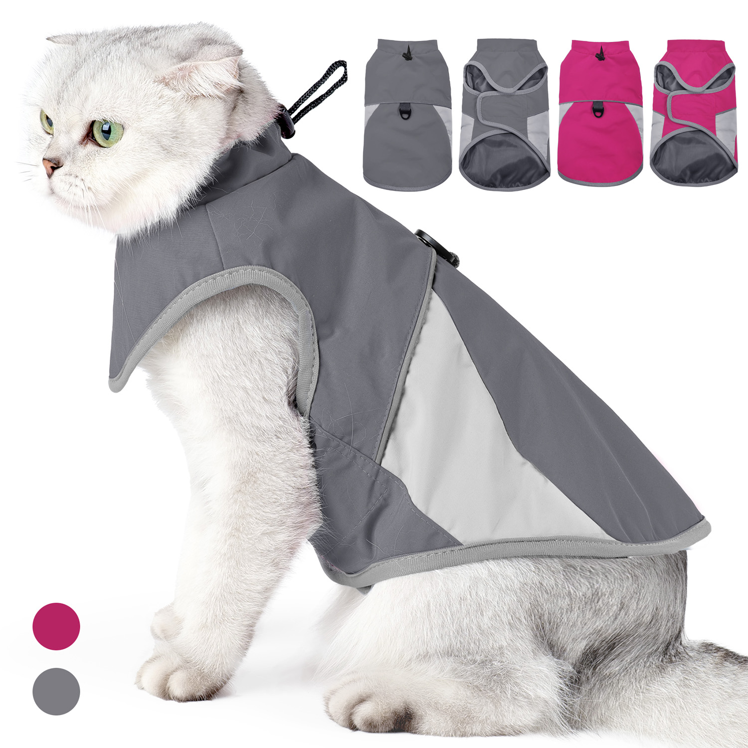 Reflective Cat Outdoor Windbre - Outdoor Adventure Windbreaker ulasan dan harga